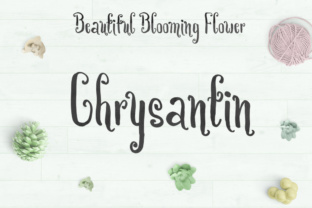 Chrysantin: A Playful Handwritten Brush Font
