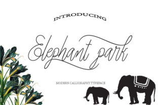 Elephant Park: A Modern Handwritten Script Font