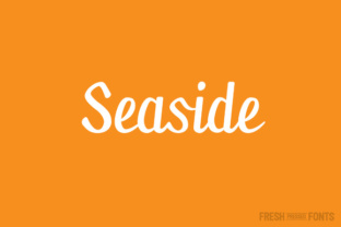 Seaside: A Script Font with Character and Connectivity